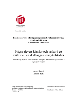 Några elevers känslor och tankar i ett möte med en skalbagges