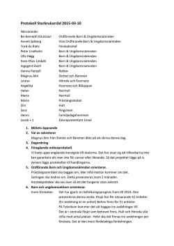 Protokoll Storbrukarråd 2015-03-10