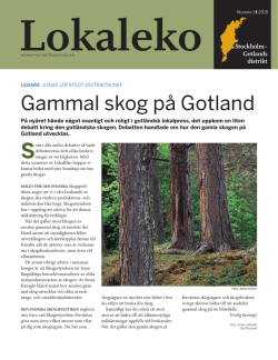 Gammal skog på Gotland