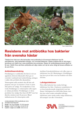 Antibiotikaresistens Häst 2014