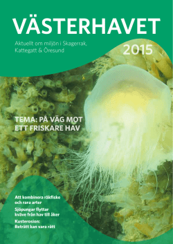 Västerhavet 2015 som pdf