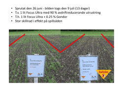• Sprutat den 26 juni - bilden togs den 9 juli (13 dagar) • T.v. 1 lit