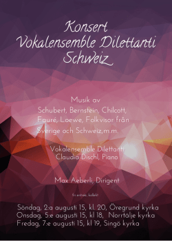 Konsert Vokalensemble Dilettanti Schweiz