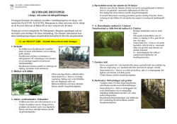 Skyddade biotoper i skogs- och naturvårdslagstiftningen