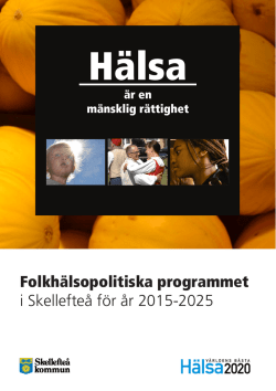 Folkhälsopolitiska programmet 2015-2025