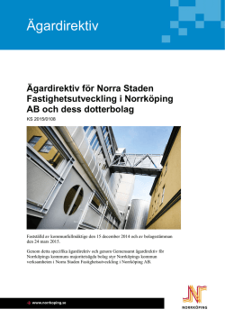 Ägardirektiv för Norra Staden Fastighetsutveckling i Norrköping AB