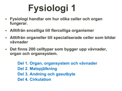 Humanfysiologi 1 V15