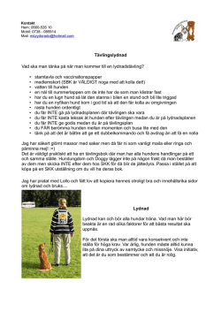 Tävlingslydnad Vad ska man tänka på när man kommer till en