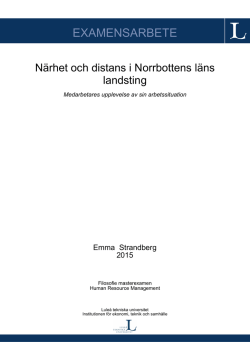 EXAMENSARBETE - pure.ltu.se - Luleå tekniska universitet