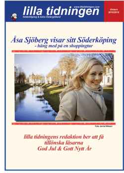 Åsa Sjöberg visar sitt Söderköping