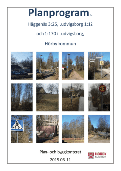 Planprogram för Ludvigsborg 1:170 m.fl
