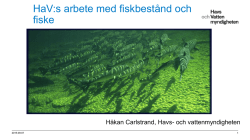 Håkan Carlstrand Havs och vattenmyndigheten