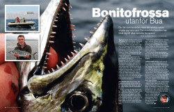 Bonito - Specimen Sportfiske