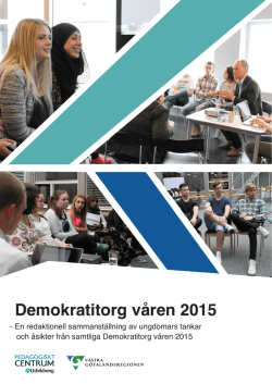 Demokratitorg Rapport VT2015