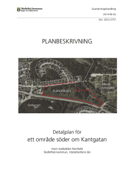 PLANBESKRIVNING - Skellefteå kommun