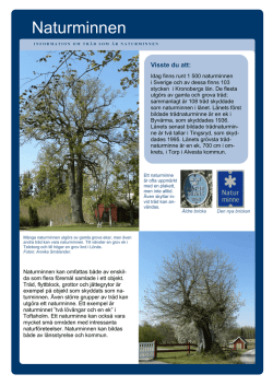 Här kan du läsa mer om naturminnen som är träd!