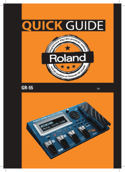 GR-55 Svensk Quick Guide