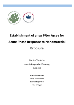 Establishment of an In Vitro Assay for Acute Phase Response to