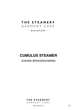 CUMULUS STEAMER