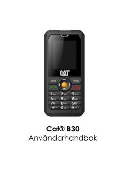 Cat® B30 Användarhandbok