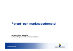 Patent- och marknadsdomstol, Anna Avenberg