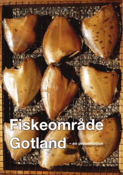 Alla fiskprojekt folder - fisk och fiskmat på Gotland