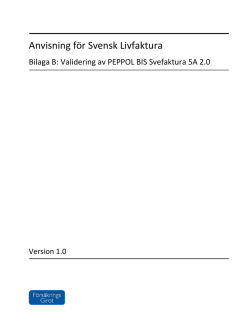 Bilaga B Validering av PEPPOL BIS