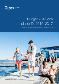 Budget 2015 och planer för 2016–2017