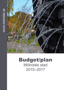 Budget/plan