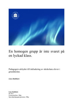 En homogen grupp är inte svaret på en lyckad klass.