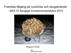 Magnus Fridh