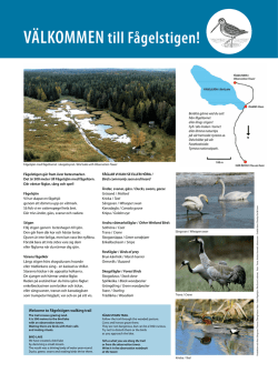 Fågelstigen walking trail - Tyresta nationalpark och naturreservat