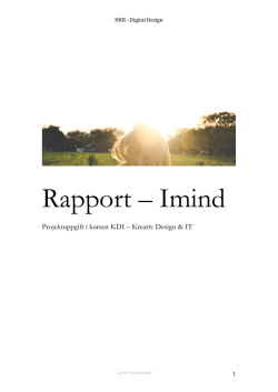 Rapport – Imind