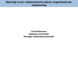 Naturligt urval (Leif Andersson)