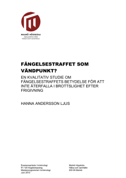 Masteruppsats - Hanna Andersson Ljus