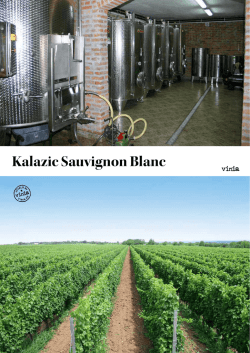 Artikel Kalazic Sauvignon Blanc