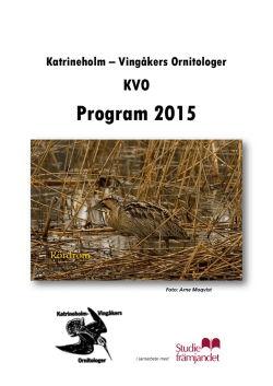Program 2015 - Katrineholm