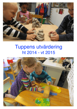 Utvärdering Tuppen ht 2014