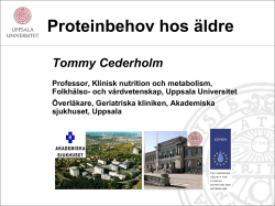 Tommy Cederholm