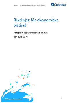Revidering av riktlinjer för ekonomiskt bistånd