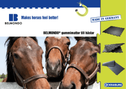 BELMONDO® gummimattor till hästar