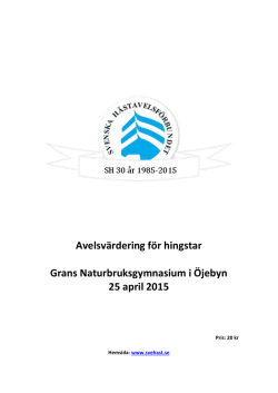 Avelsvärdering för hingstar Grans Naturbruksgymnasium i Öjebyn