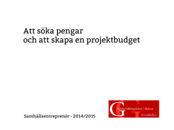 Soka_pengar_och_projektbudget – länk till pdf