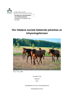 Hur hästens sociala beteende påverkas av inhysningsformen