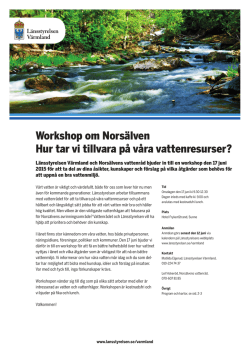 Workshop om Norsälven Hur tar vi tillvara på våra vattenresurser?