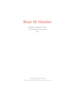 Broar till historien
