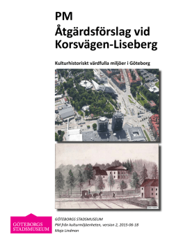 PM Åtgärdsförslag vid Korsvägen-Liseberg