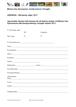 Ansökan NIU-bandy 16/17 - tjejer (pdf-fil, 187.8 kb)