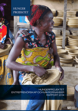 Rapport entreprenörskap och mikrofinans 2014