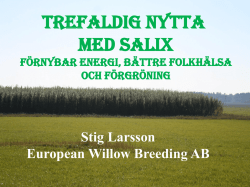 Trefaldig nytta med salix - Förnybar energi, bättre folkhälsa och